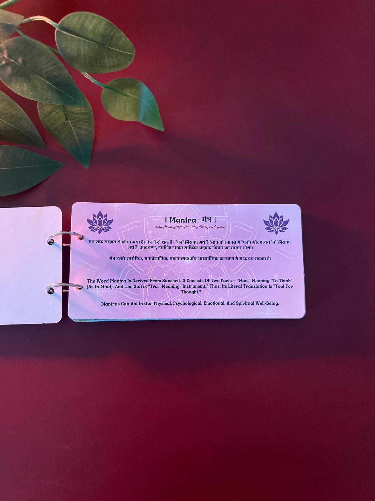 🕉️ Divine Duo: Mantra + Chalisa with Meanings in Gujarati, Hindi & English