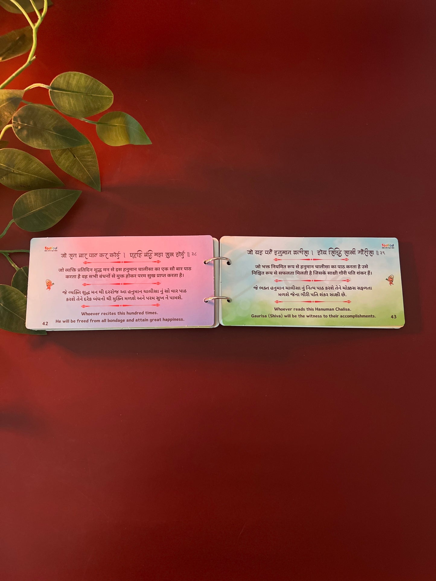 🕉️ Divine Duo: Mantra + Chalisa with Meanings in Gujarati, Hindi & English